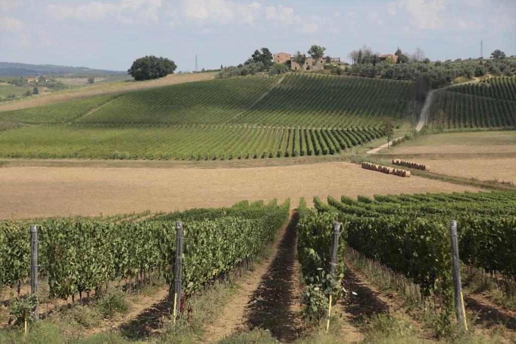 Agriturismo Spazzavento Vinci Exteriör bild